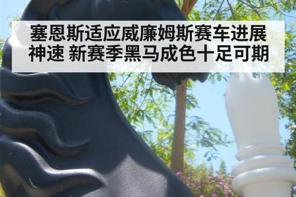 塞恩斯适应威廉姆斯赛车进展神速 新赛季黑马成色十足可期